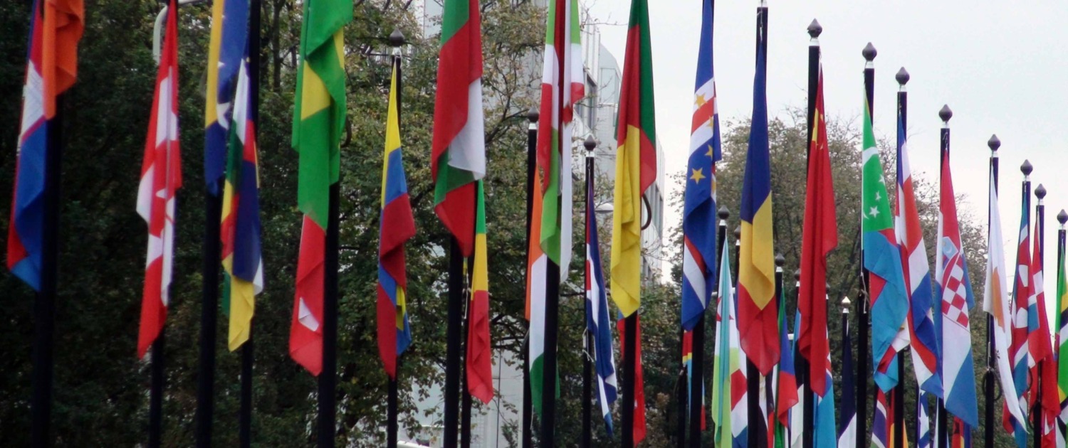 International Flag Standing In A Row, Den Haag, South Holland The Netherlands, Europe