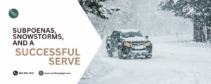 Subpoena Snowstorm header